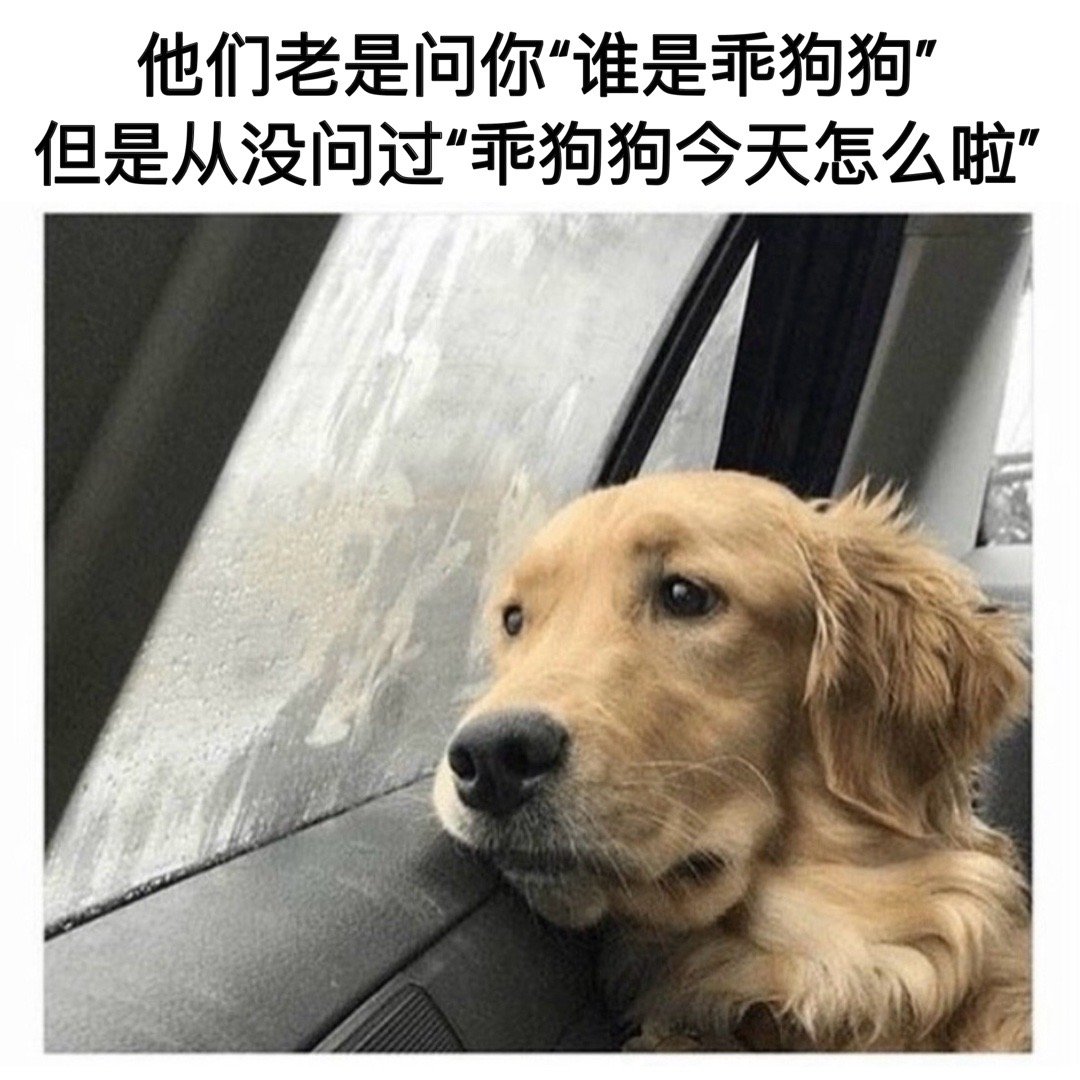 乖狗狗也会委屈#meme# ​​​