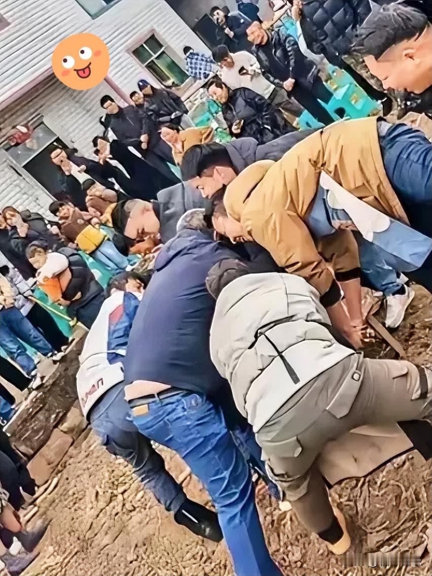 我觉得“求助按猪”的呆呆爆火就是纯纯偶然！谁能想到，一个重庆姑娘随口发个视频，说