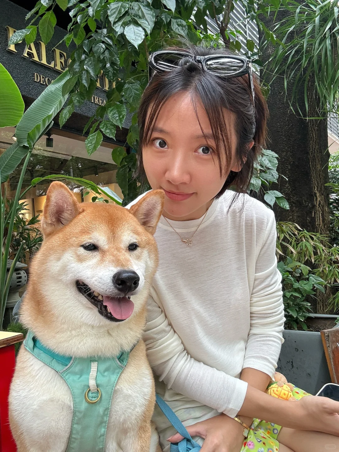 上班前就得看点活人味PLOG