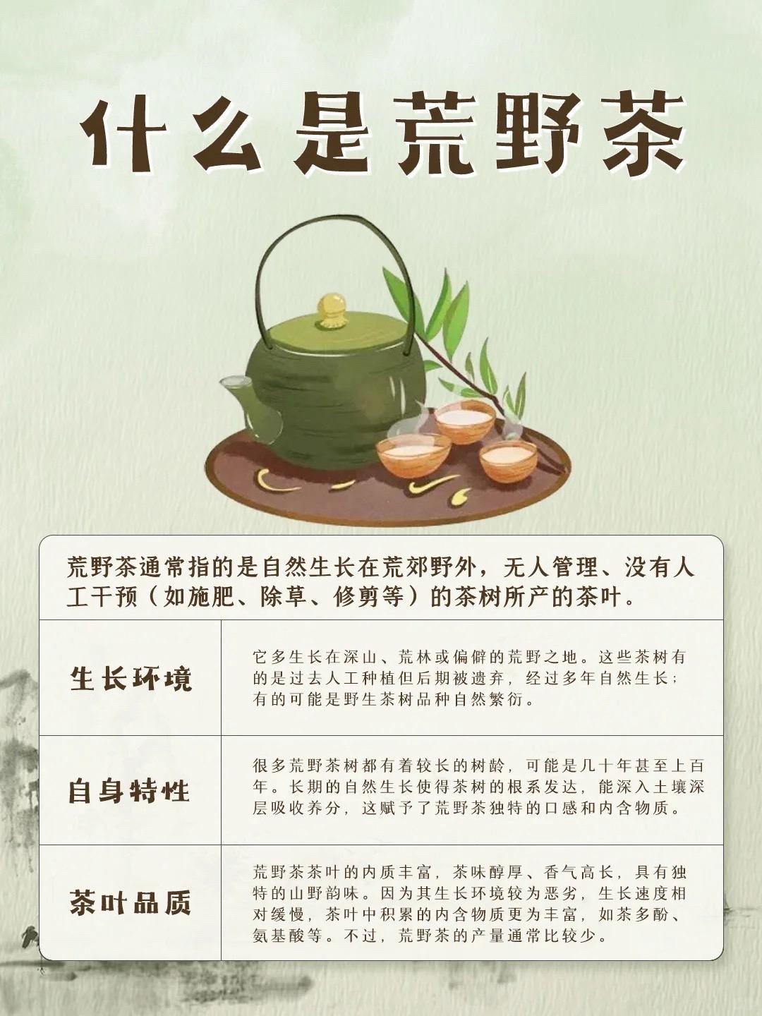 都说荒野茶好，究竟什么样的茶叶是荒野茶？荒野茶 荒野毛峰 知茶懂茶 茶生活 抖音