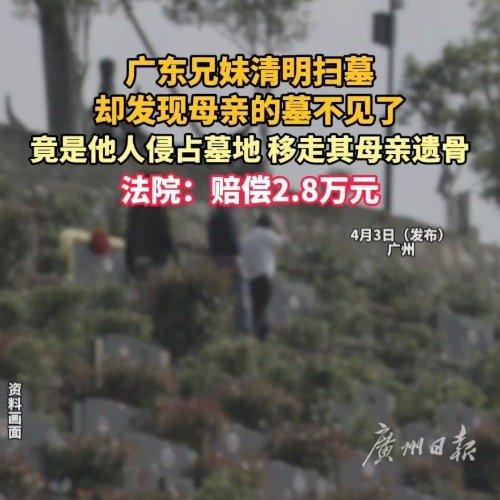 清明期间，一对兄妹上山为母亲扫墓，到了墓地却发现母亲的坟墓不翼而飞，原地只剩下一