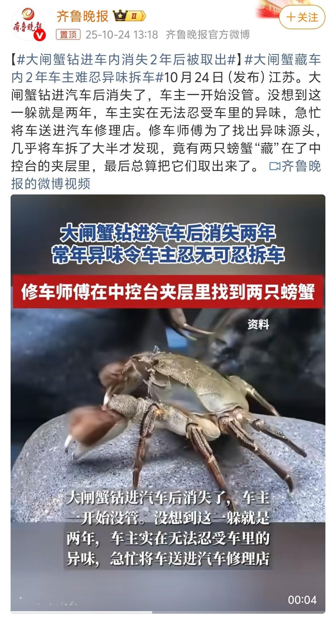 大闸蟹钻进车内消失2年后被取出 能忍两年，也是很能忍了[允悲][允悲]如果大家的