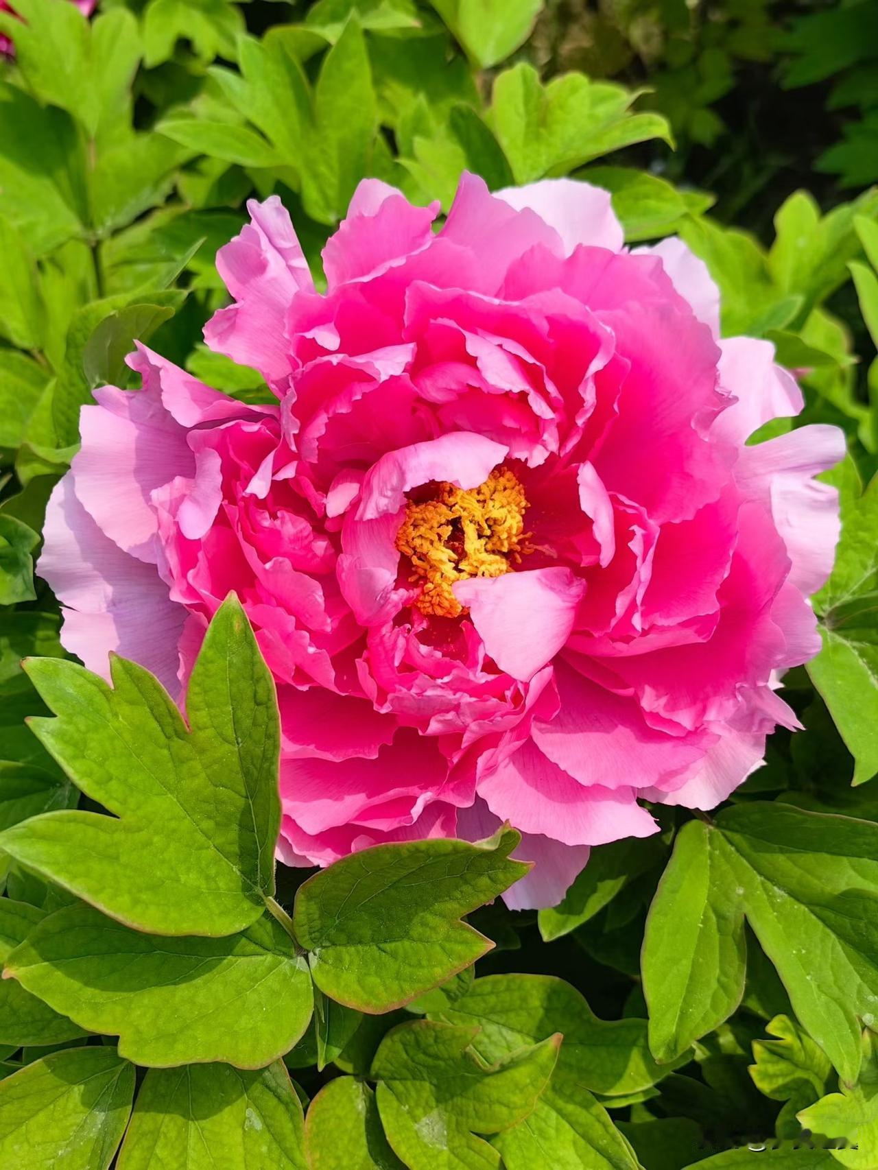 【小对联】
上：绸布店；
下：……？