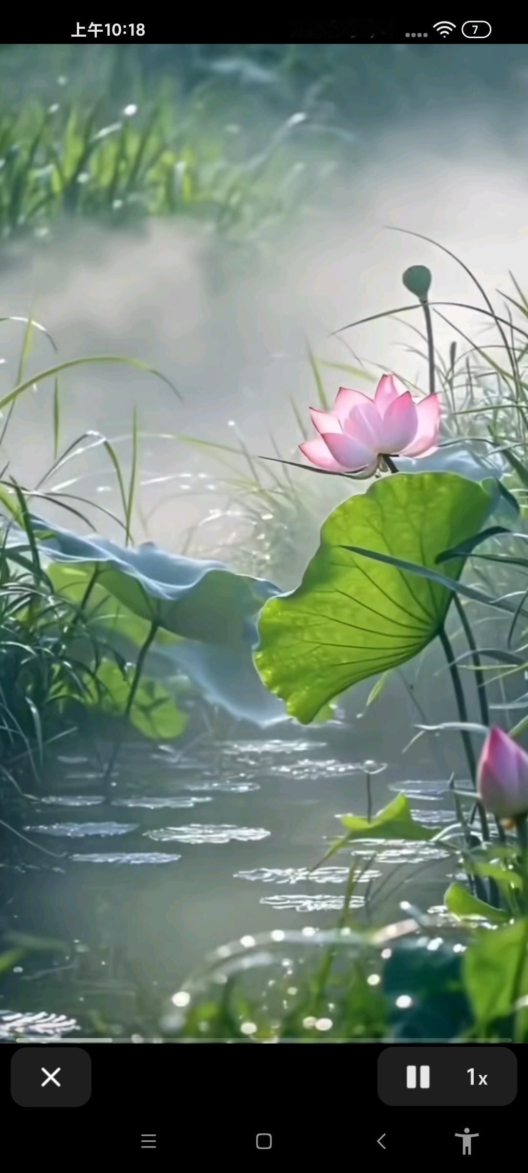 你知道为啥男的叫“小火子”，女的叫“小姑凉”吗？
冬天敢和老婆同睡的，那可都是真