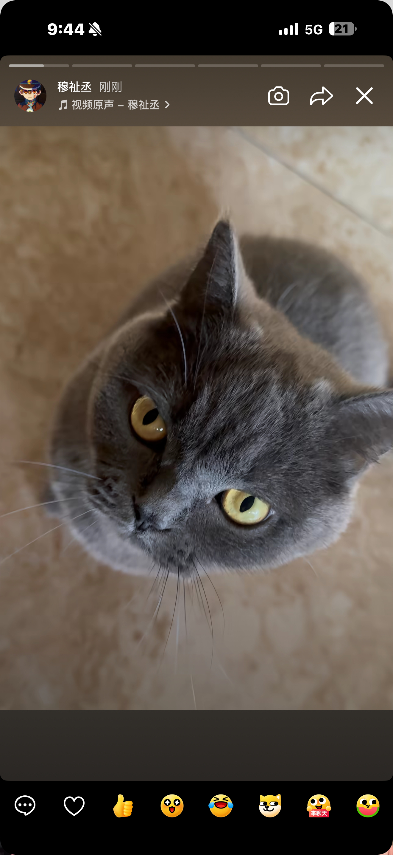 猜猜面团现在有几斤。穆祉丞