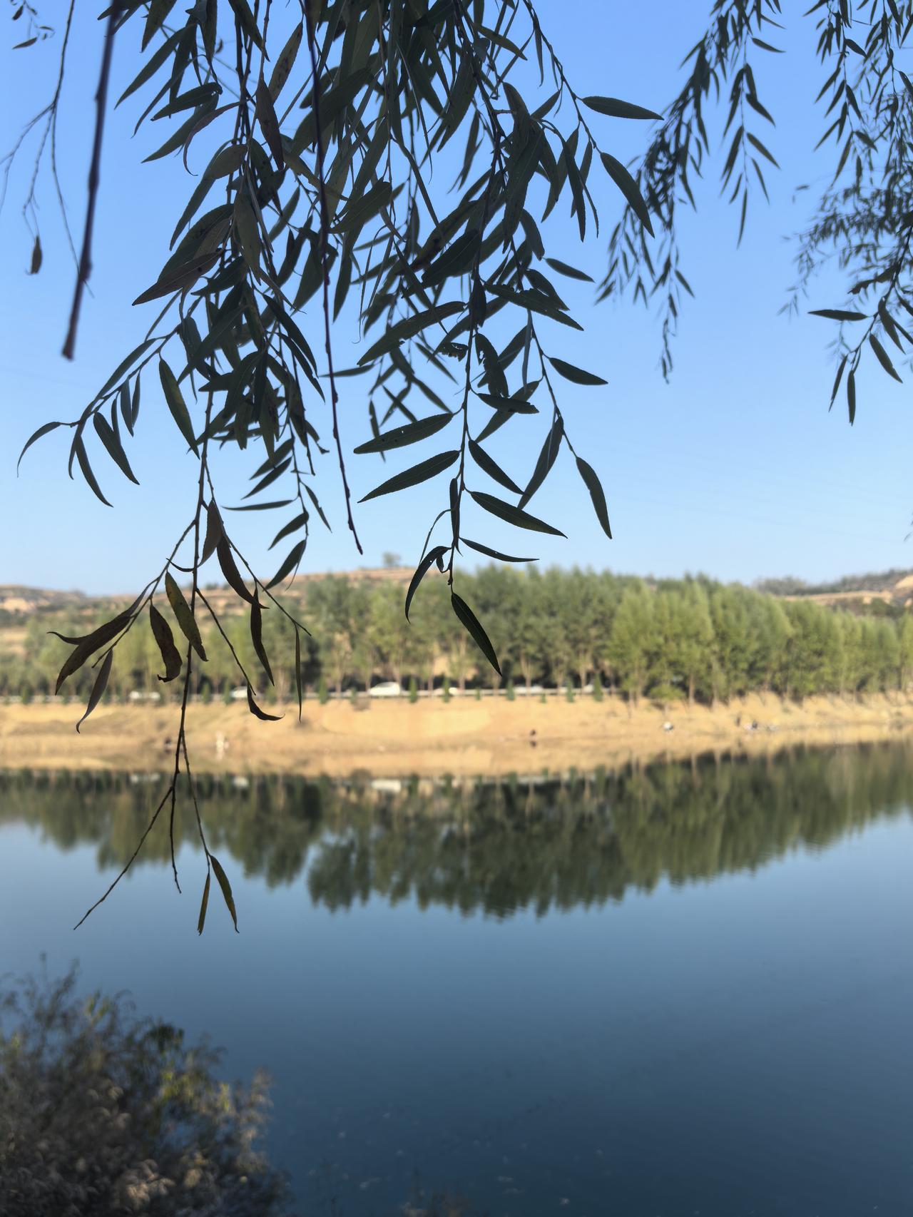 分享一张你拍的最美的一张照片