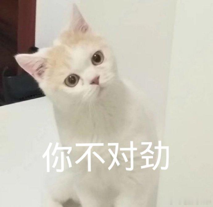哪个App偷听最严重 印象最深的，还是购物类和餐饮类的。之前和朋友唠嗑的时候，说