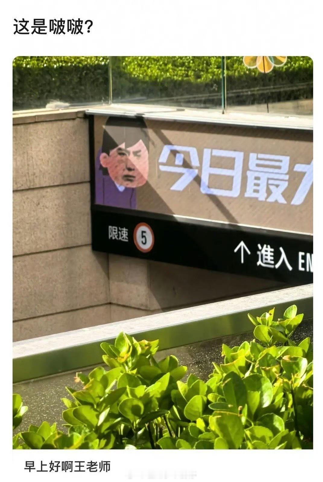 王一博的表情包真的大大大出圈[允悲] ​​​