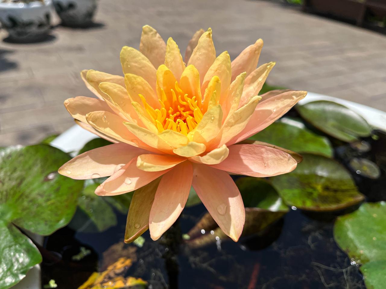 孩子胆小，唯唯诺诺，背后的大人一定是多做了3件“蠢事”，少做了2件“正事”。
