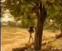 这就是随地大小便的下场