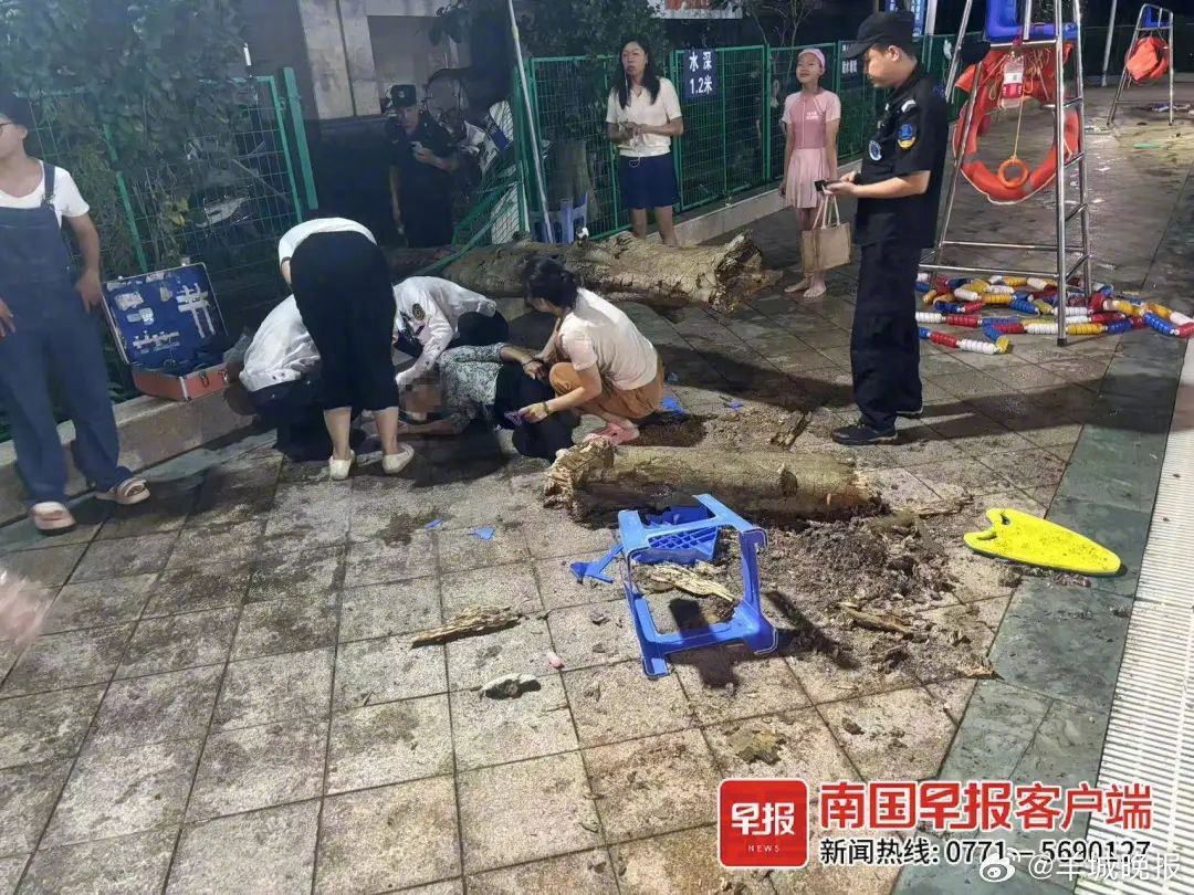 【#老人被小区树砸伤家属索赔29万元#，物管回应→】74岁的老人在小区泳池旁看孩