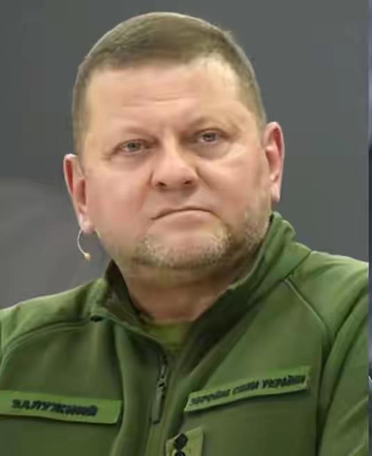 ​果然不出所料，扎卢日内在民意支持力已经完胜了泽连斯基，乌克兰新总统的产生将可能