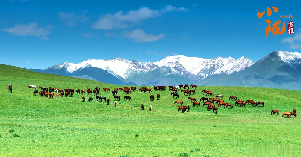 早安[点赞][点赞][点赞]秋色漫染祁连山 张掖如画等你来被誉为河西走廊“生命线