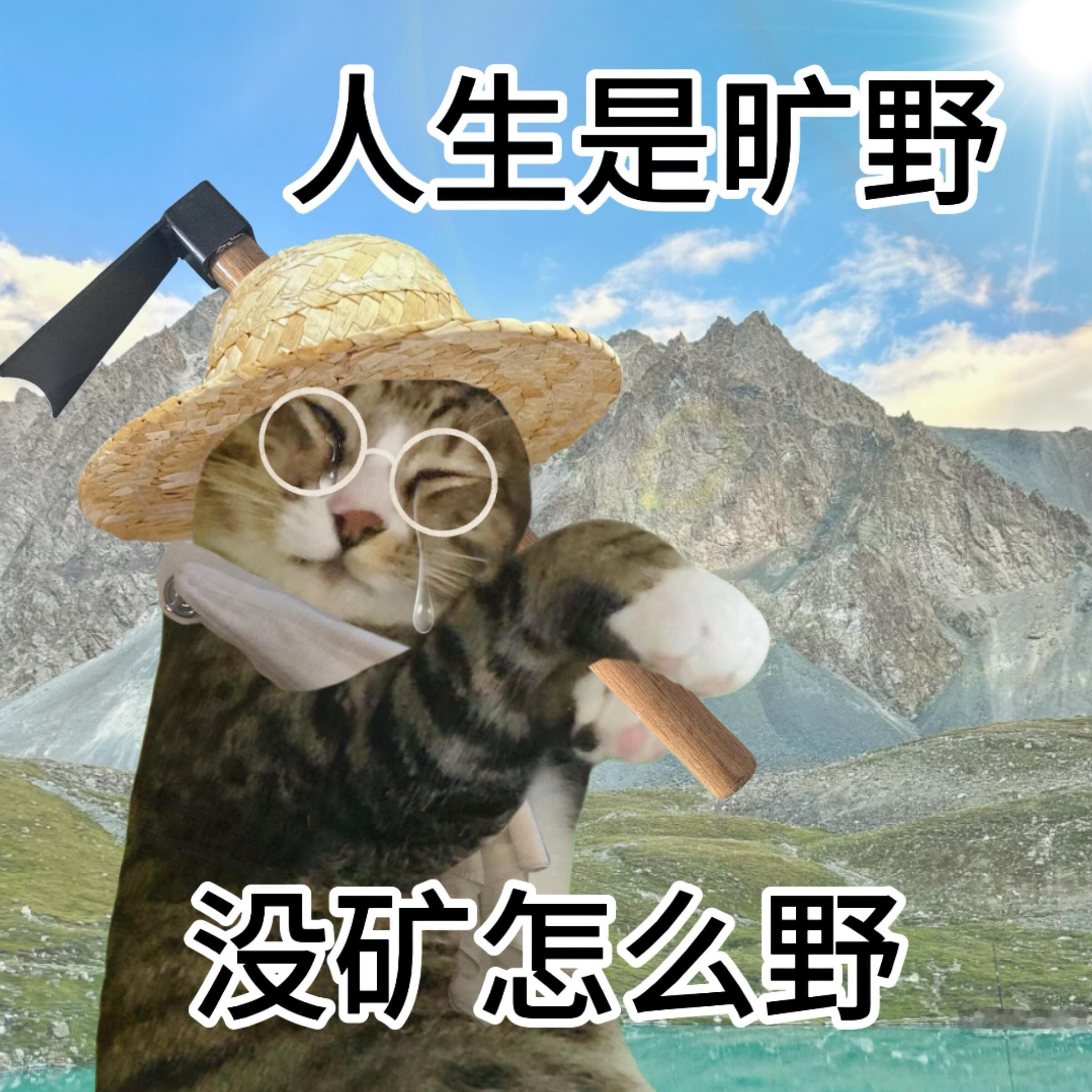 人果然要待在没有天花板的地方 看多了城市林立高楼，总想奔赴辽阔原野。一望无际的草