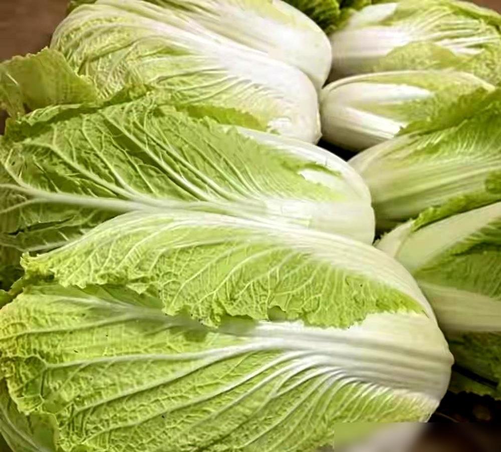 看到个新闻，直接给我整不会了。几毛钱一斤的大白菜，居然也有人往死里打剧毒农药？