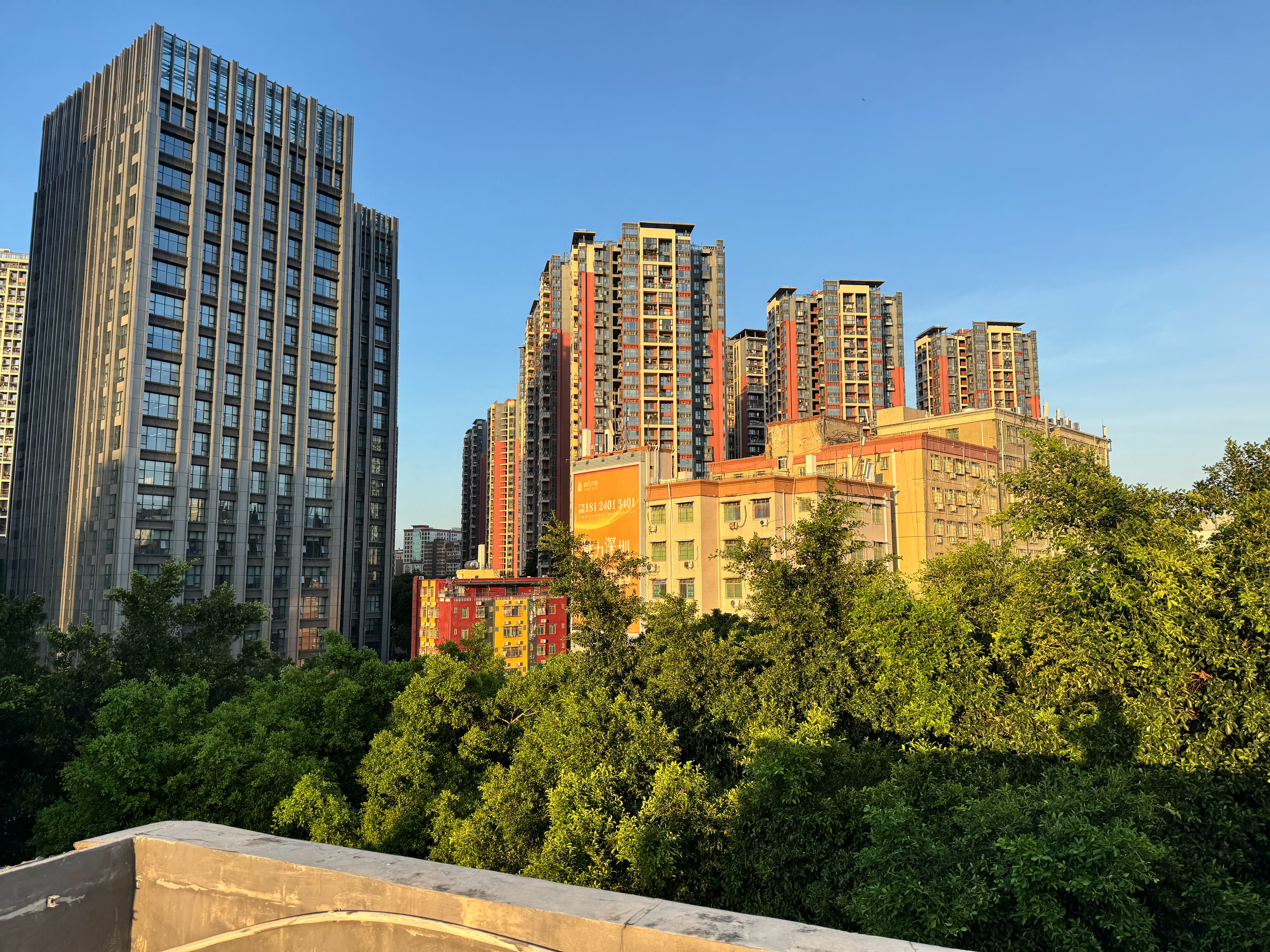 台风估计来不了啦，现在蓝蓝的天空，也没有刮风 ​​​