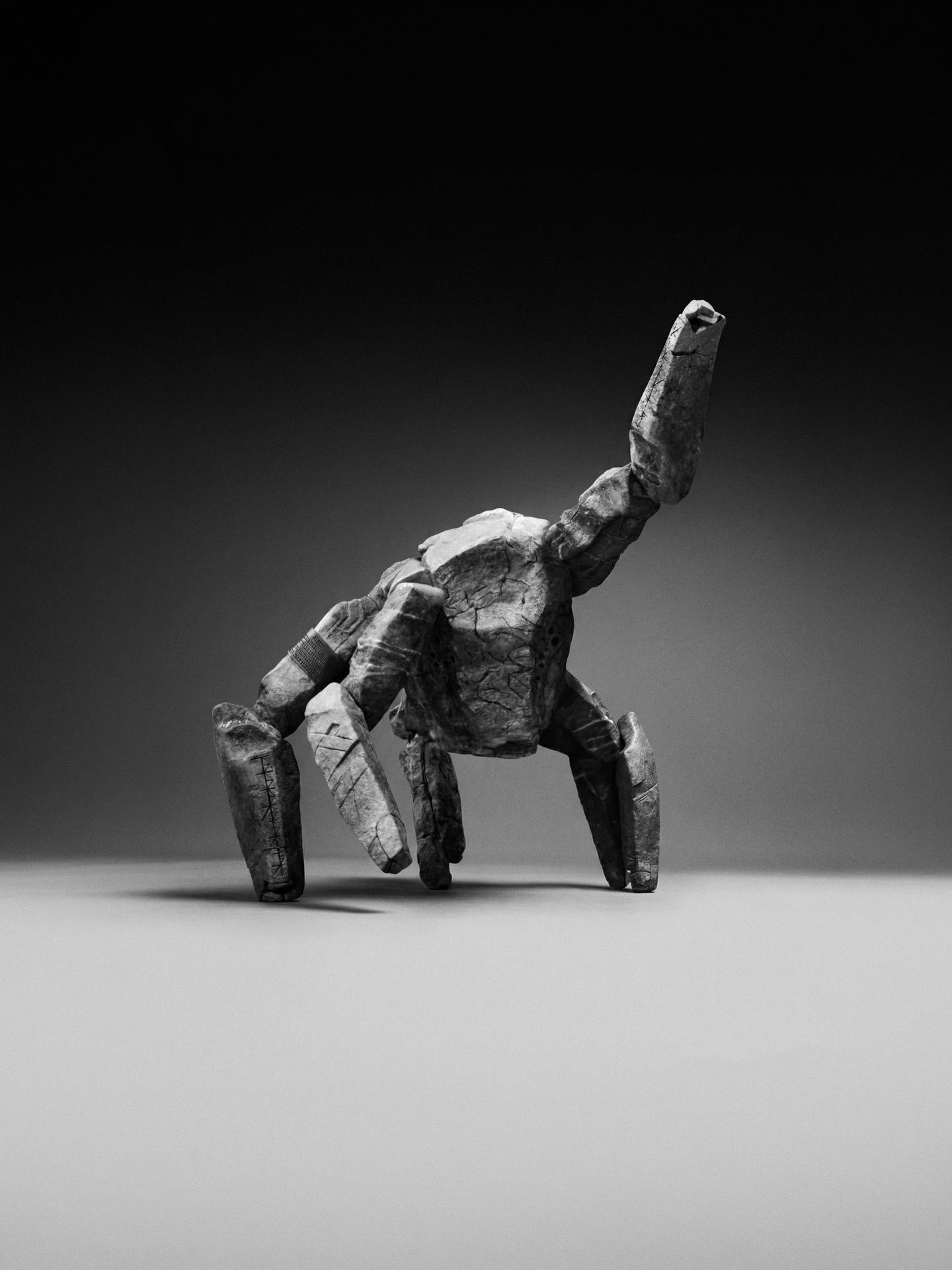 假如，格雷斯带着洛基来到地球，拍了一组写真照amazing amazing am