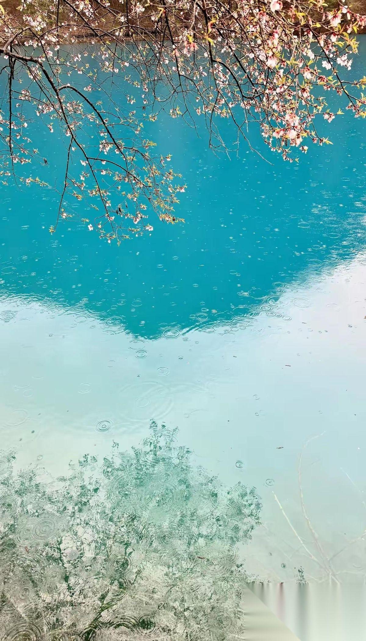 一位足浴店长说:
很多男人鬼鬼祟祟来到店里，不问足浴，不问按摩，不问柔式，就问有