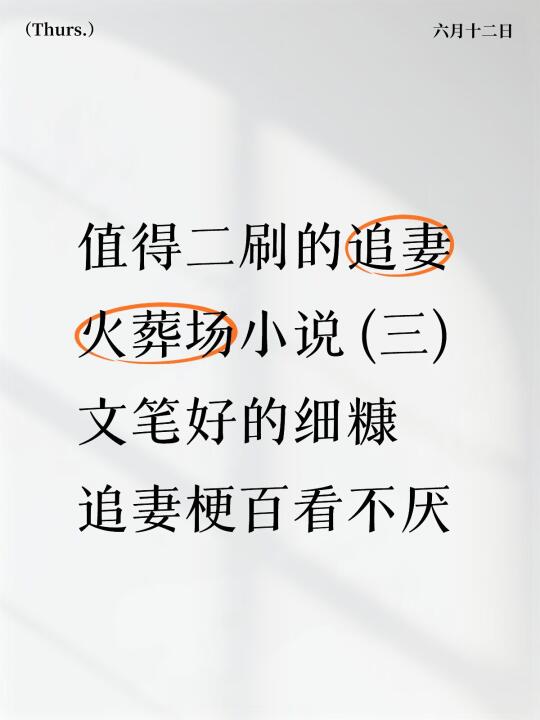 值得二刷的追妻火葬场小说 (三) 文笔好细糠