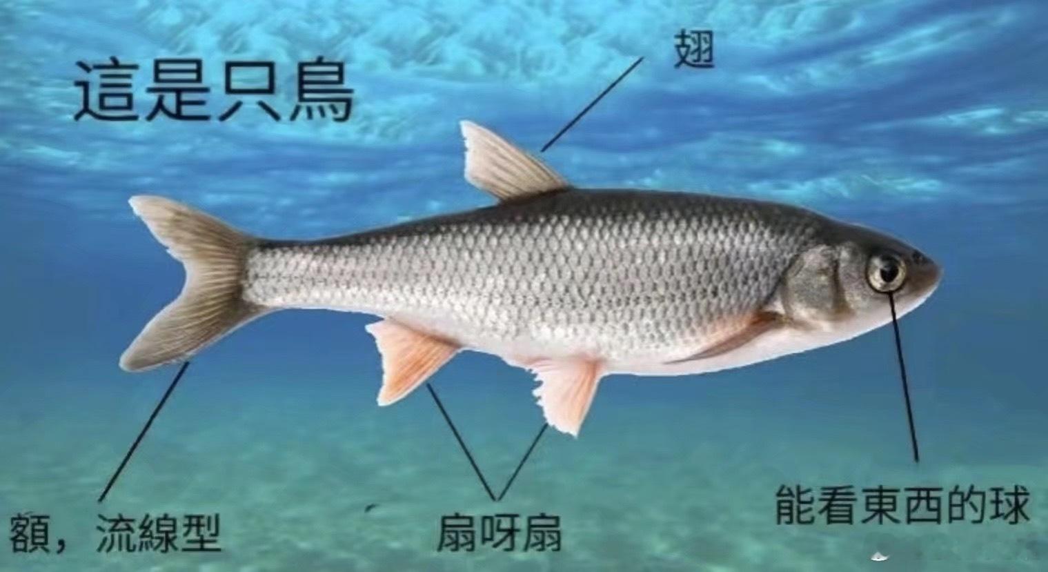 当你简历作假但是得到了这份工作be like： 