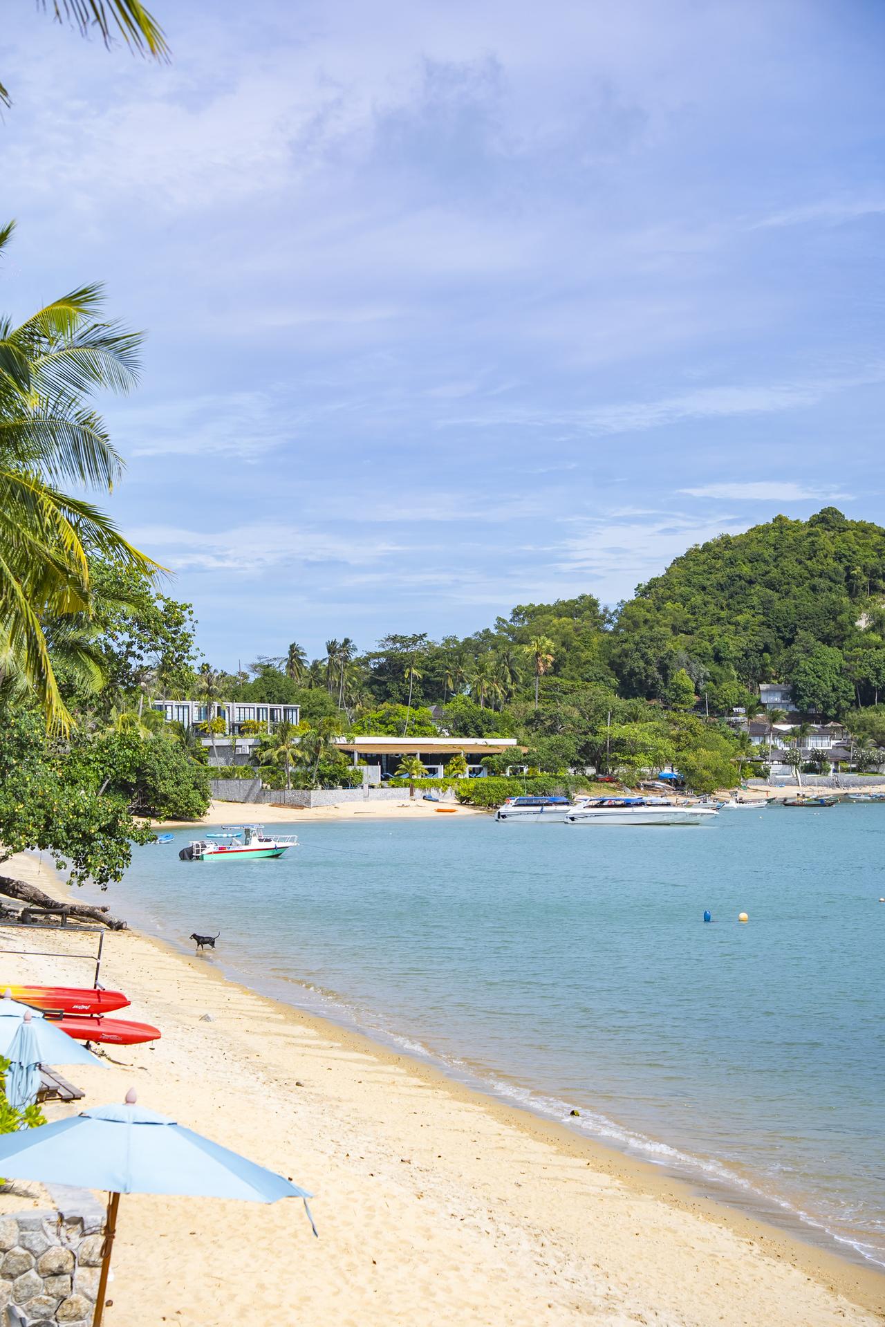 逃离人潮，在苏梅岛找到真正慢下来的自己🌴，
这次住的Celes samui真的