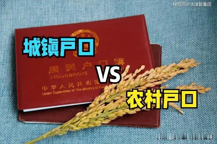 城镇户口有什么好处❓
1️⃣子女教育（最核心）
直接划片入读城区优质公办中小学，