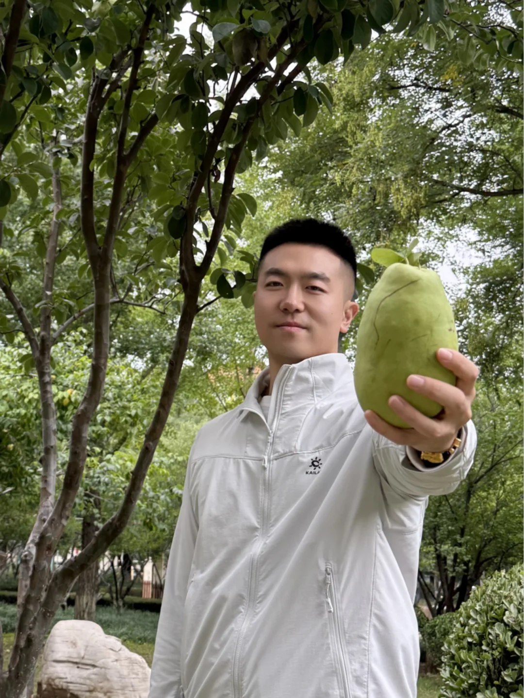 来吃瓜