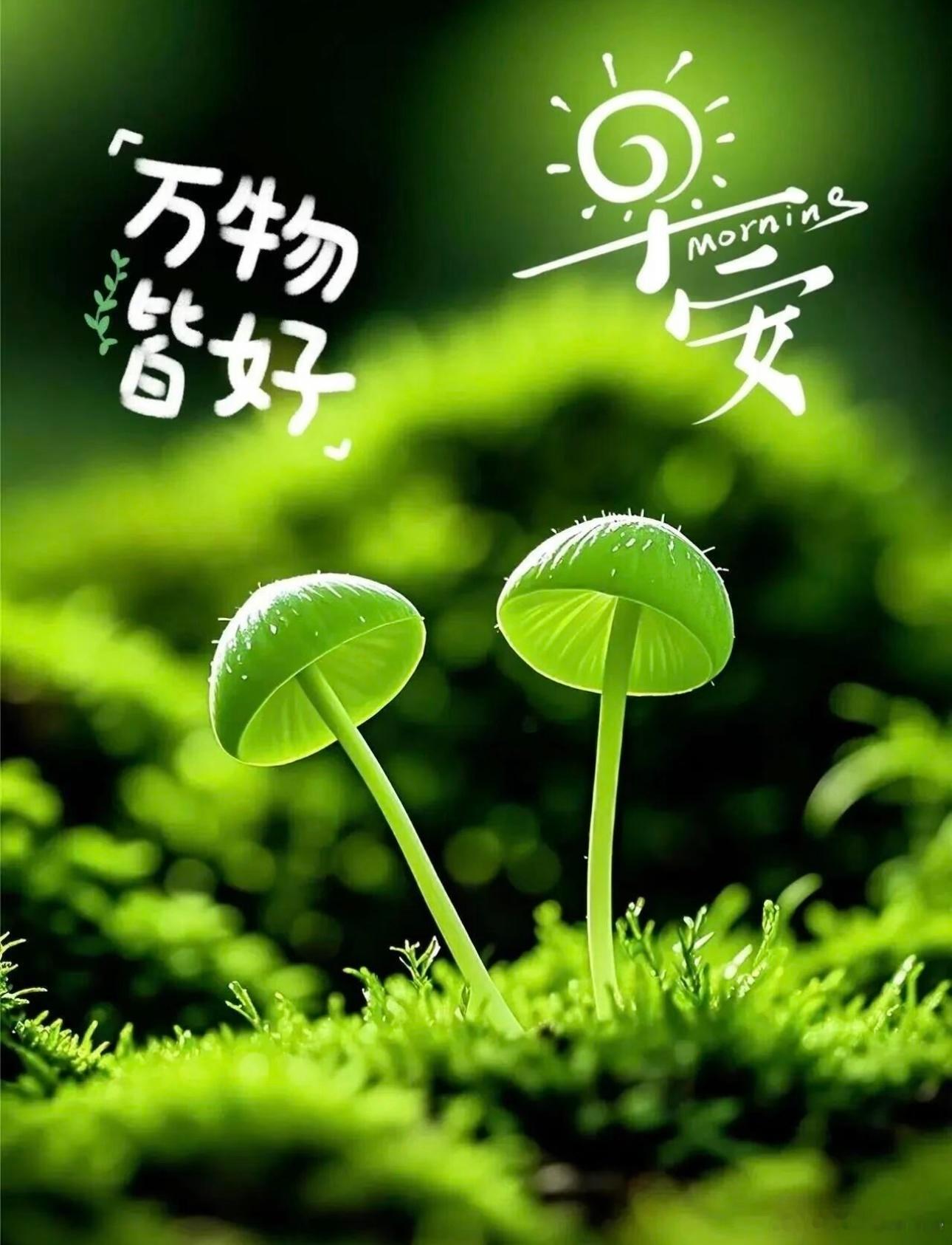早安  hyr早安 生活要尽心，用心，也要开心，随心，愿心怀豁达，处处安宁，早安