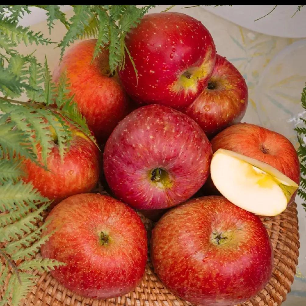  云南丑苹果🍎超喜欢吃这种苹果，脆脆的，清甜多汁，自带一股淡淡清香。跟其他苹果