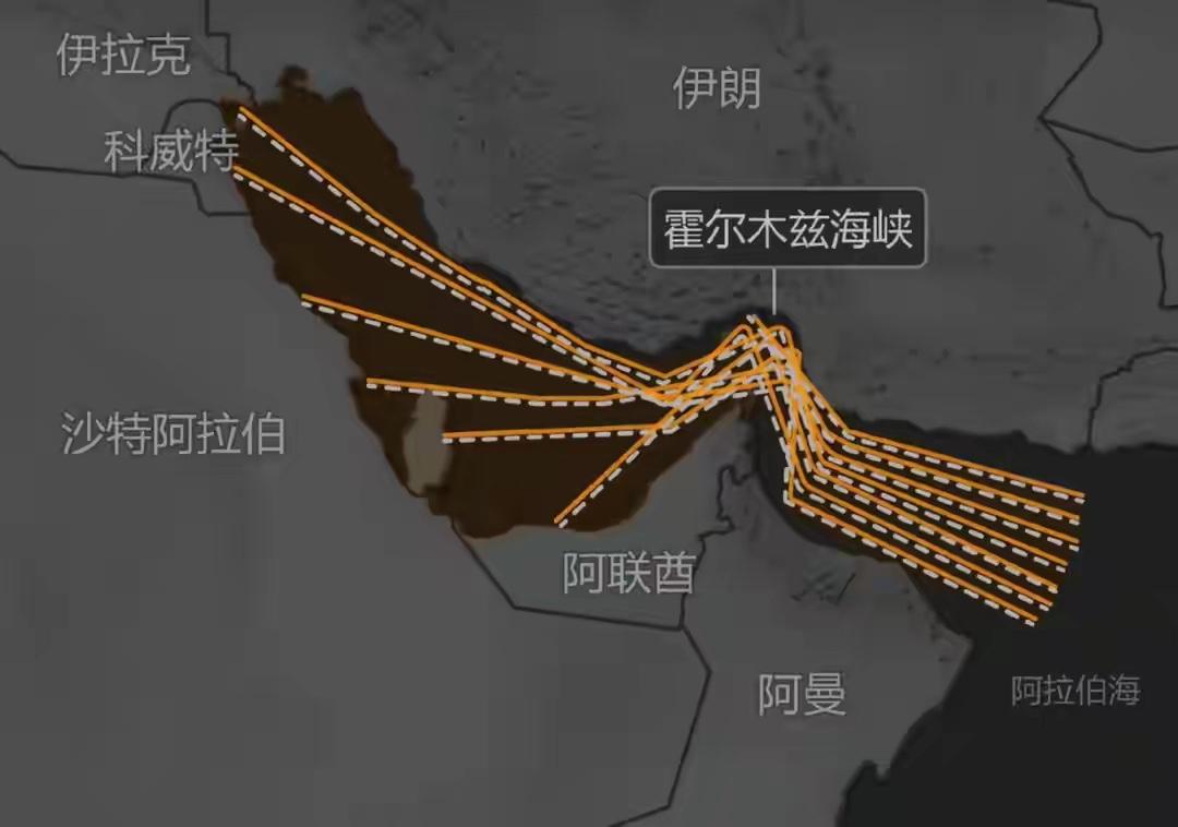 伊朗亮出底牌！但中国是例外！中国货轮顺利通过霍尔木兹海峡！3月2日，伊朗亮出底牌