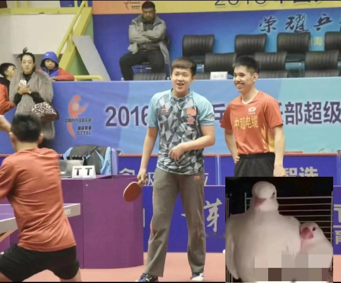 看到王楚钦以前的一张图，我都惊了。

他那身子壮得啊，跟头就像不是一个人的似的。