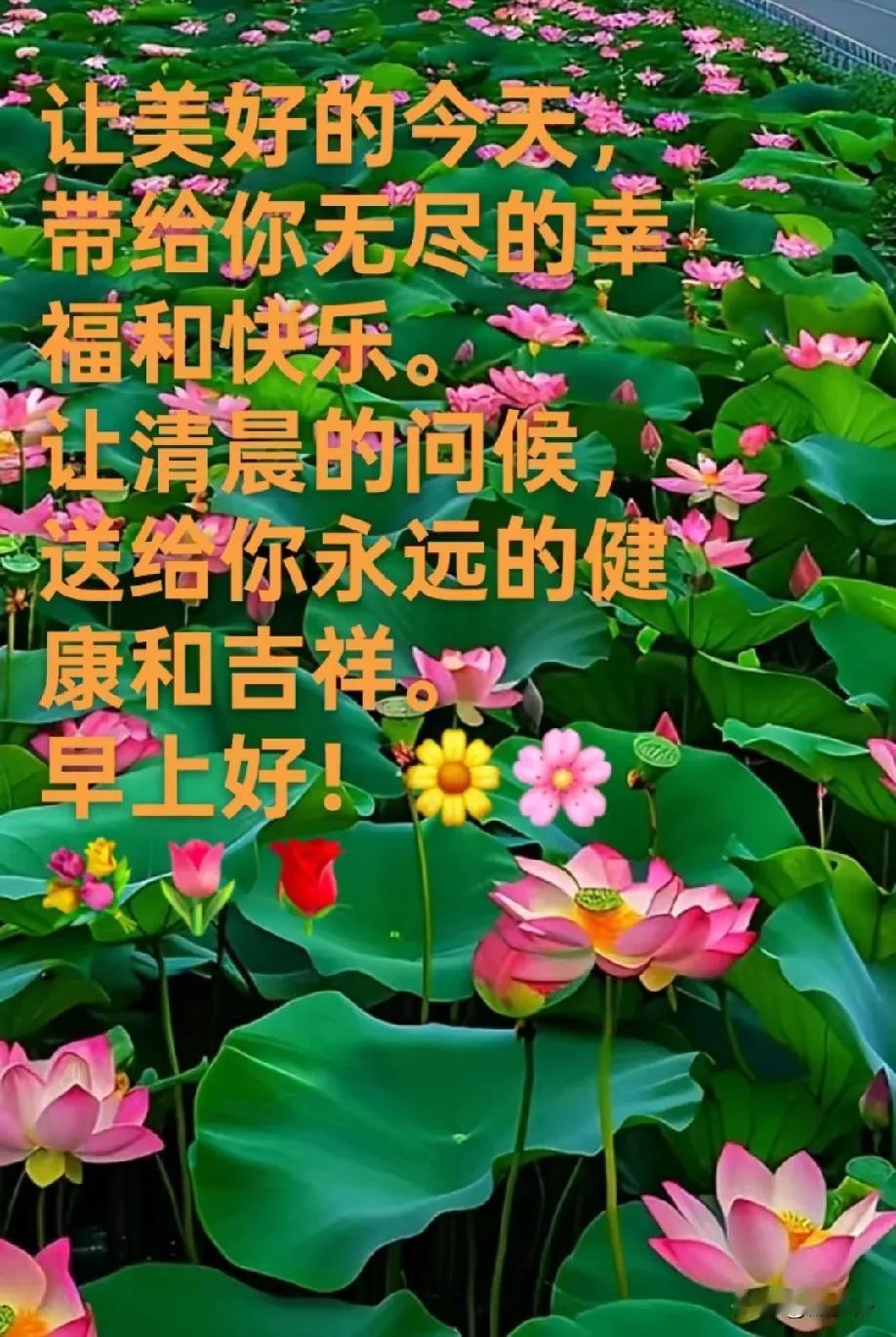 晨迎旭日笑颜开
好运如同潮水来
身健心欢无挂碍
福泽满院乐悠哉
[玫瑰][微风]