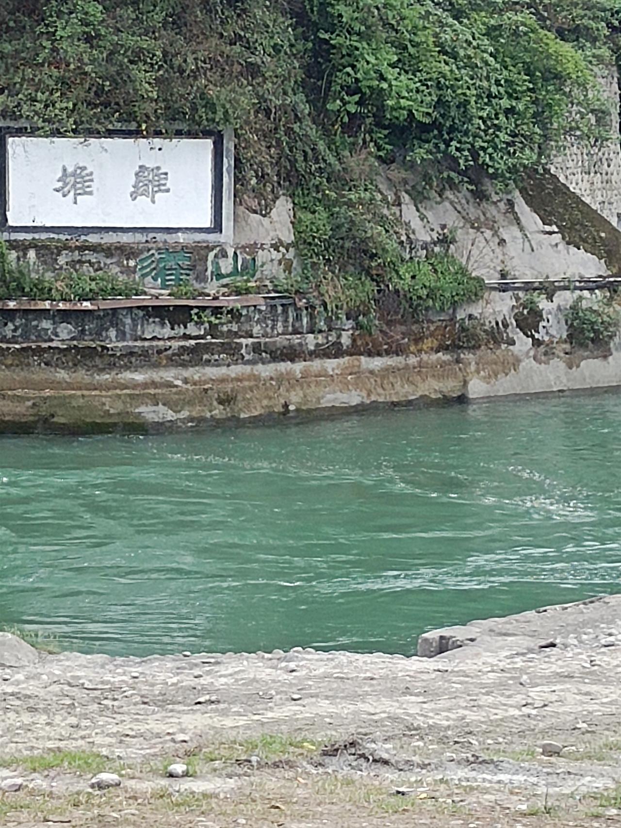 发出你认为相册里最可爱的一张照片