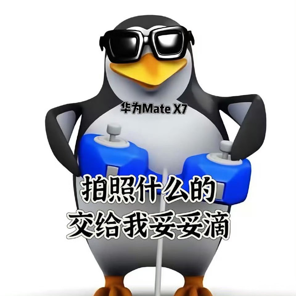 国家地理镜头下每一帧都是大片华为Mate X7搭载第二代红枫影像，带着它拍自然色