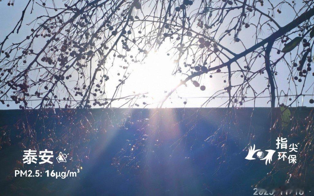 气候气象。实景。2025年11月18日10点，泰安市，晴，3℃，湿度26%，风力