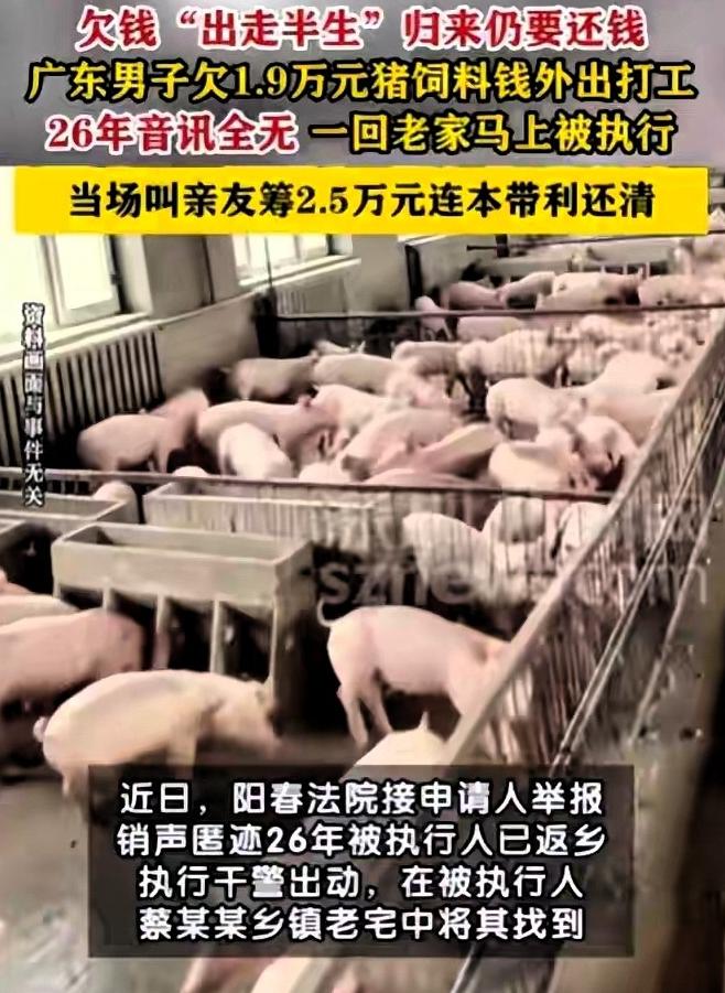 时隔26年仍难逃追责！广东阳春一名男子拖欠一万九千元猪饲料货款拒不归还。
 
债