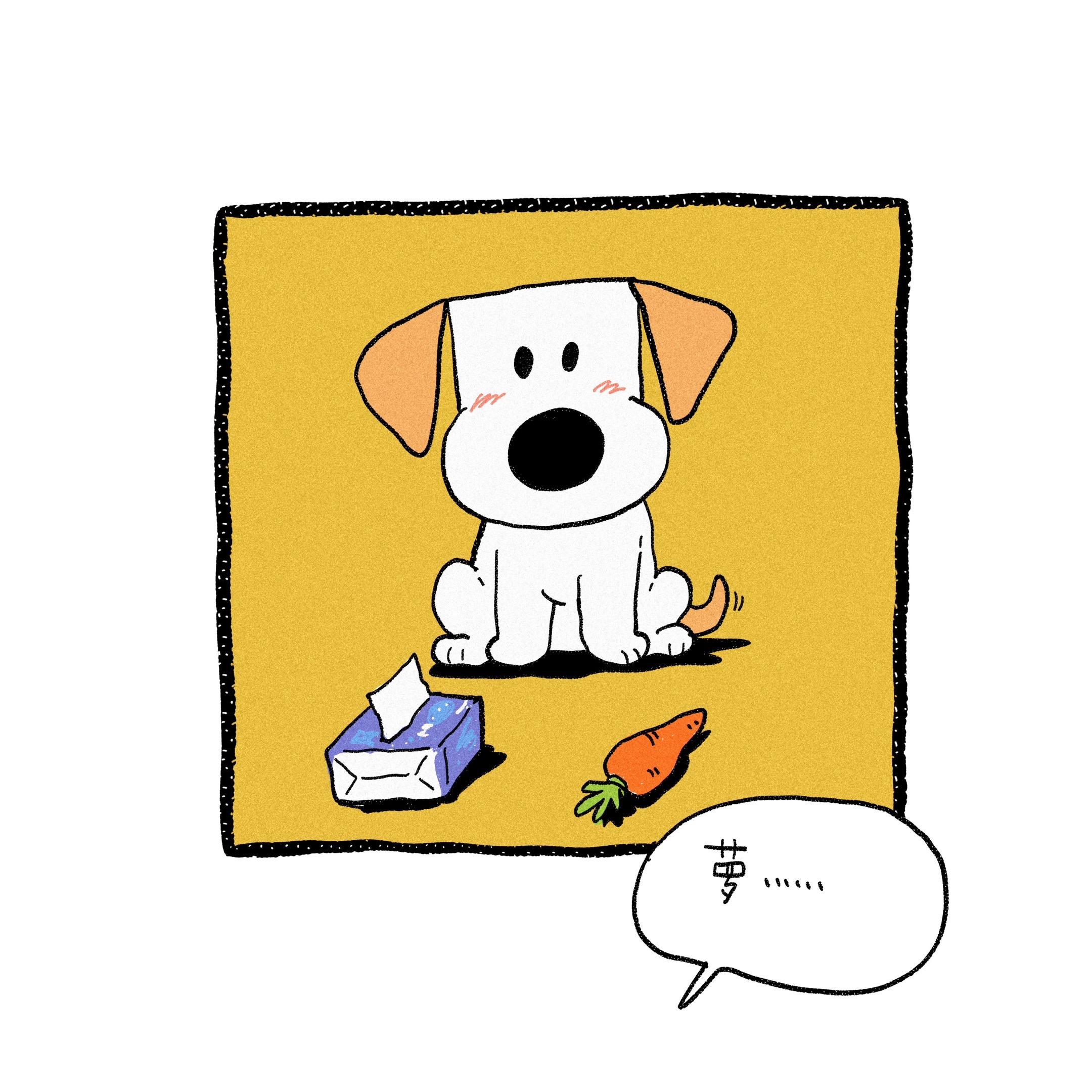 萝卜和纸巾。乓仔：我会……