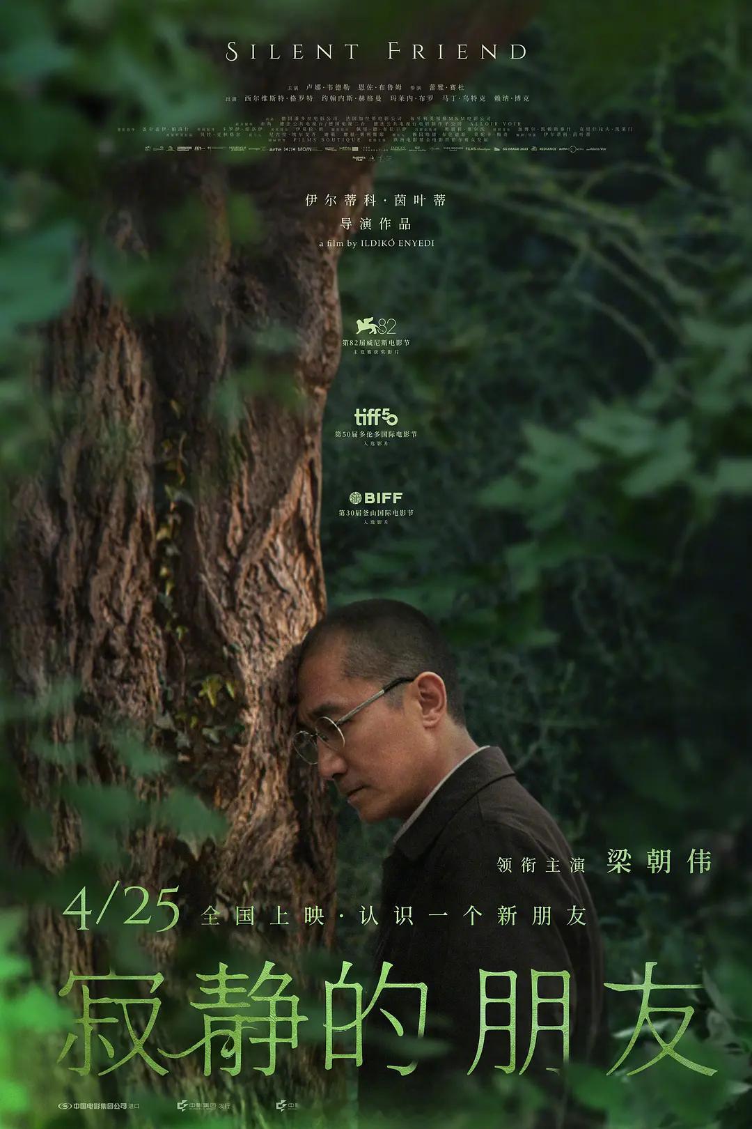🎬《寂静的朋友》：一棵树和人类的相互感知，克制、优雅又安静。镜头语言美极了，梁