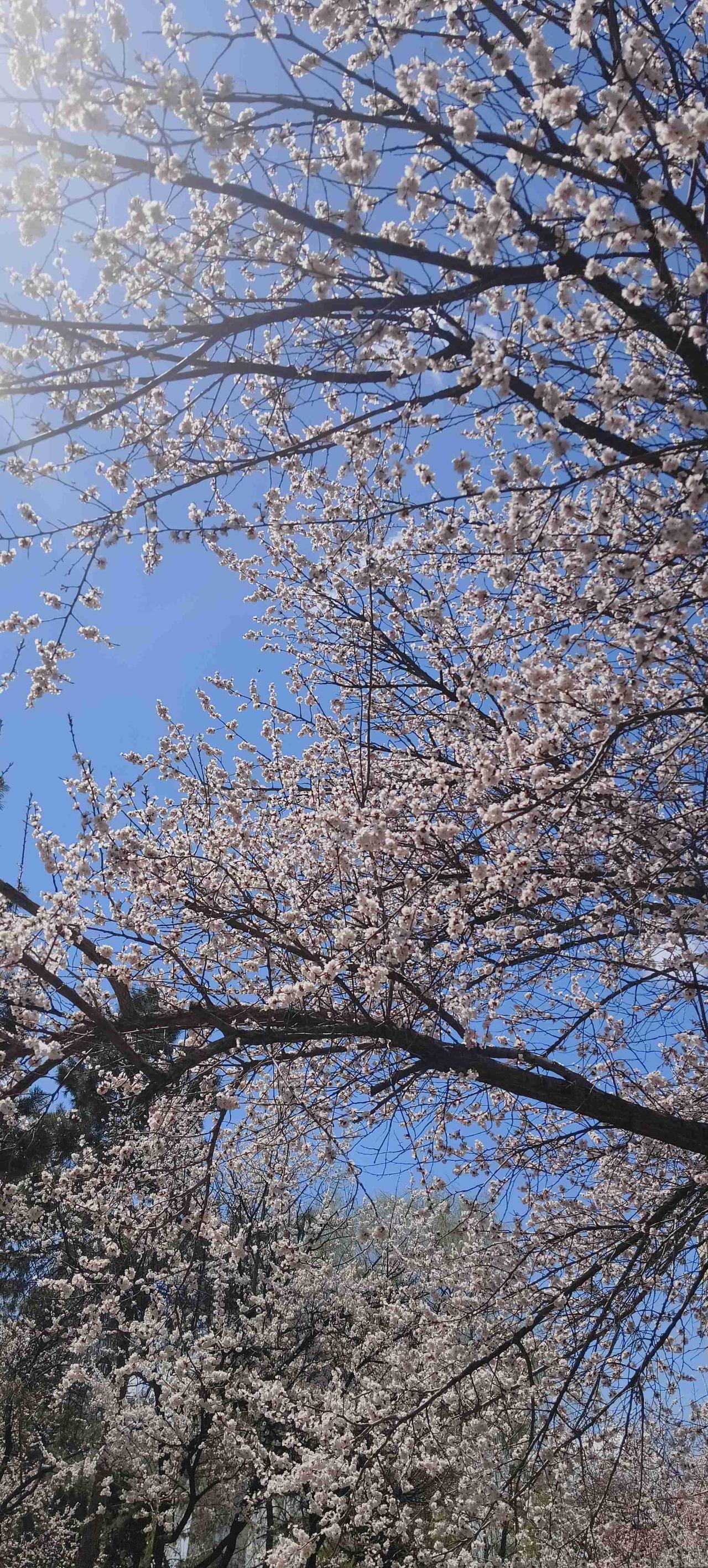 我的今日状态：😁轻松愉快
我这里的天气：☀️晴天