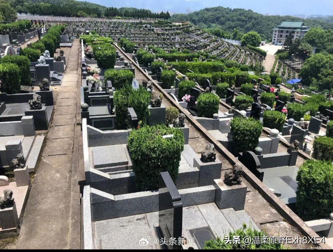 陵园成战场？河南南阳，25年8月10日至12日，以齐景云为首的数十人蓄意组织、手