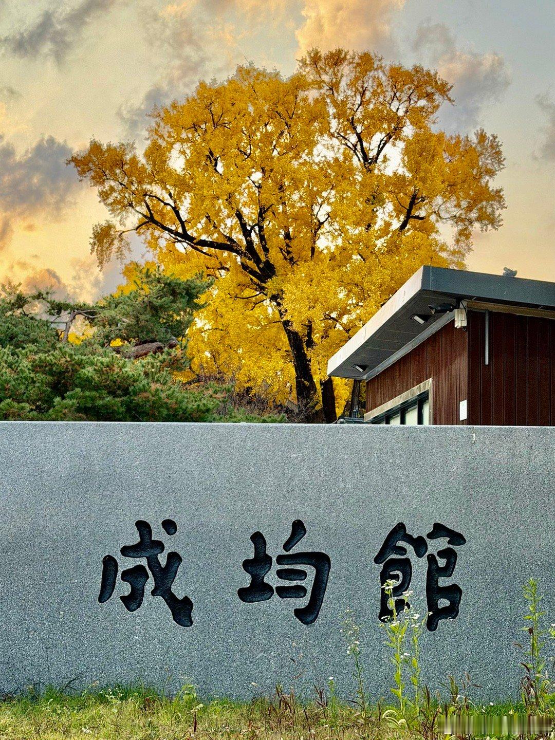 首尔成均馆。这是韩国最重要的孔庙，现在是韩国最重要的大学之一：成均馆大学。每年秋