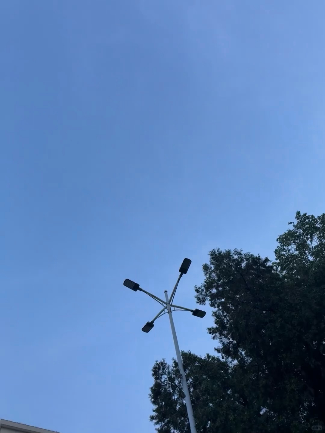 慢慢吃饭慢慢散步 刚刚好 