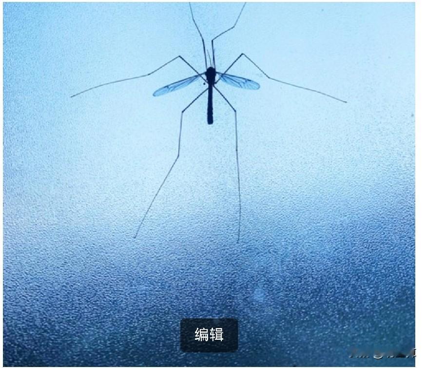 今年42岁，在私立幼儿园做主班老师，一晃从教快20年了。
 
干幼师越久，其实最