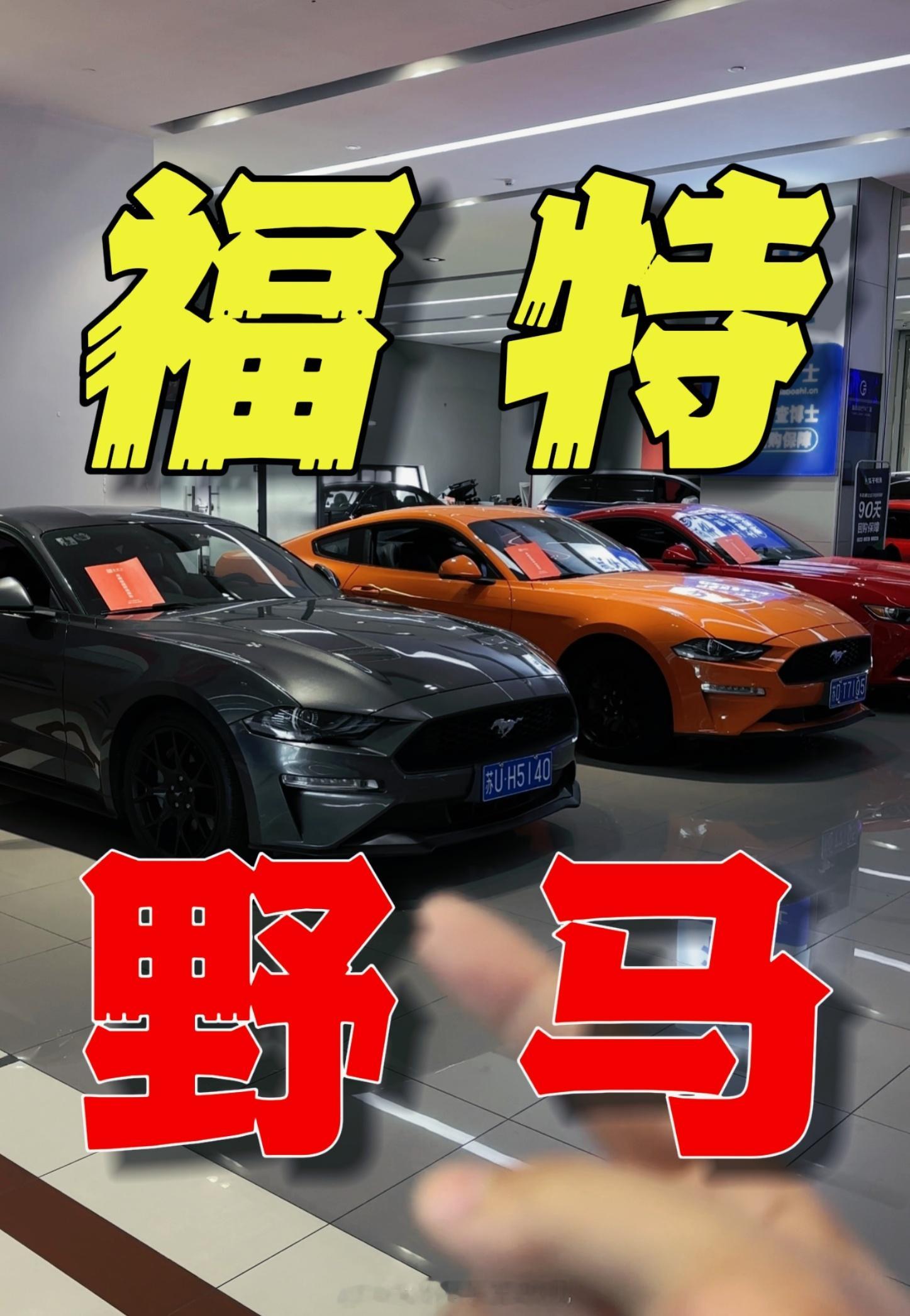 生日快乐！！身份证上的生日！！两天卖3台车 爽了 好久没这么痛快了接下来要努力收
