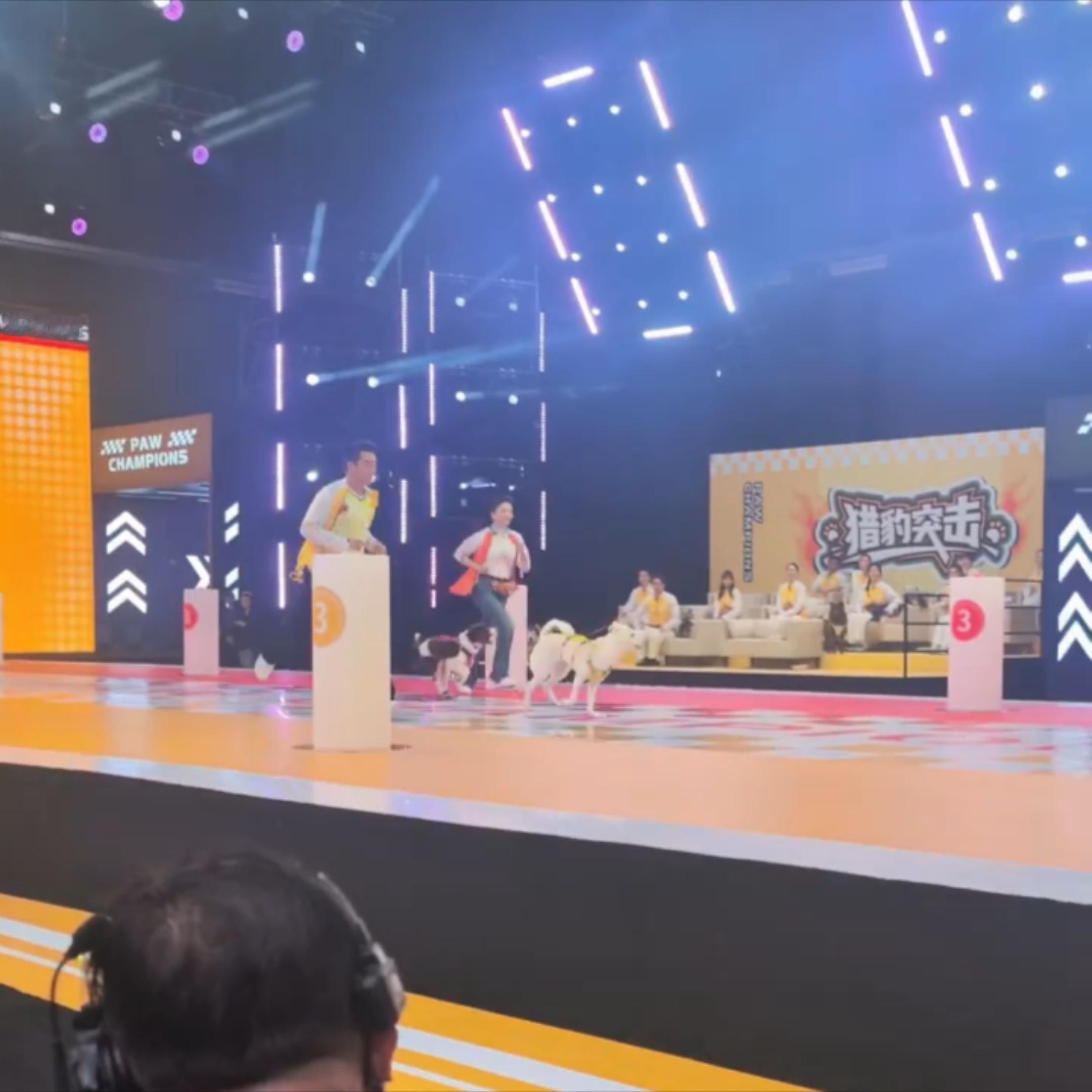 查理跑的好卖力，真尽全力在跑了刘涛能不能先放点日常给我看看👀 