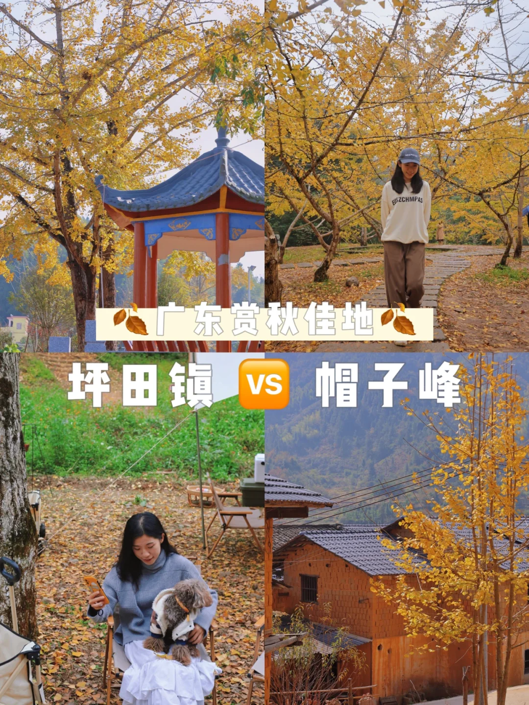 广东赏秋｜南雄2日游🍂帽子峰🆚坪田谁更美❓