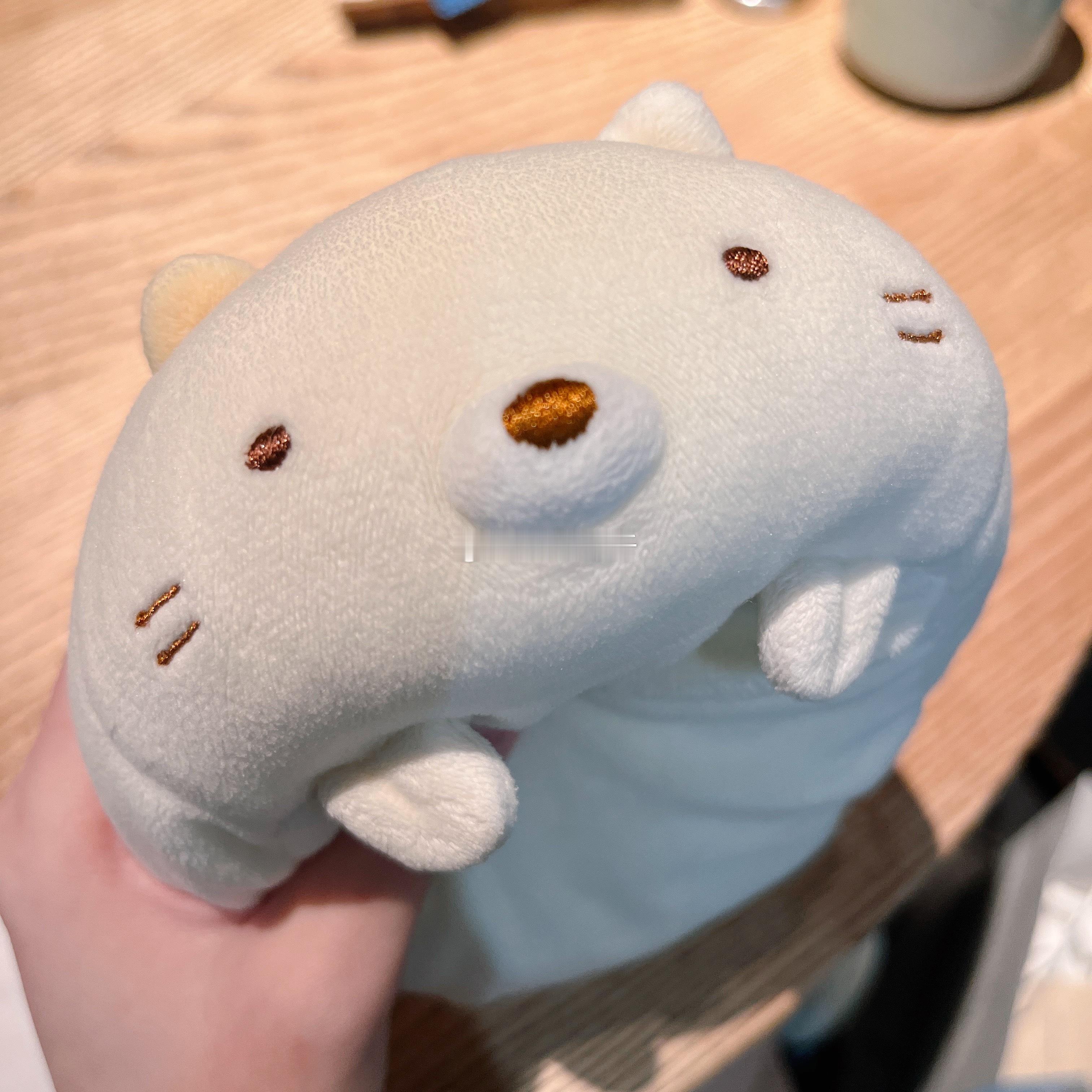 猫猫仔宝宝😚😚亲鼠她……隔三差五亲鼠这个咪宝~ ​​​