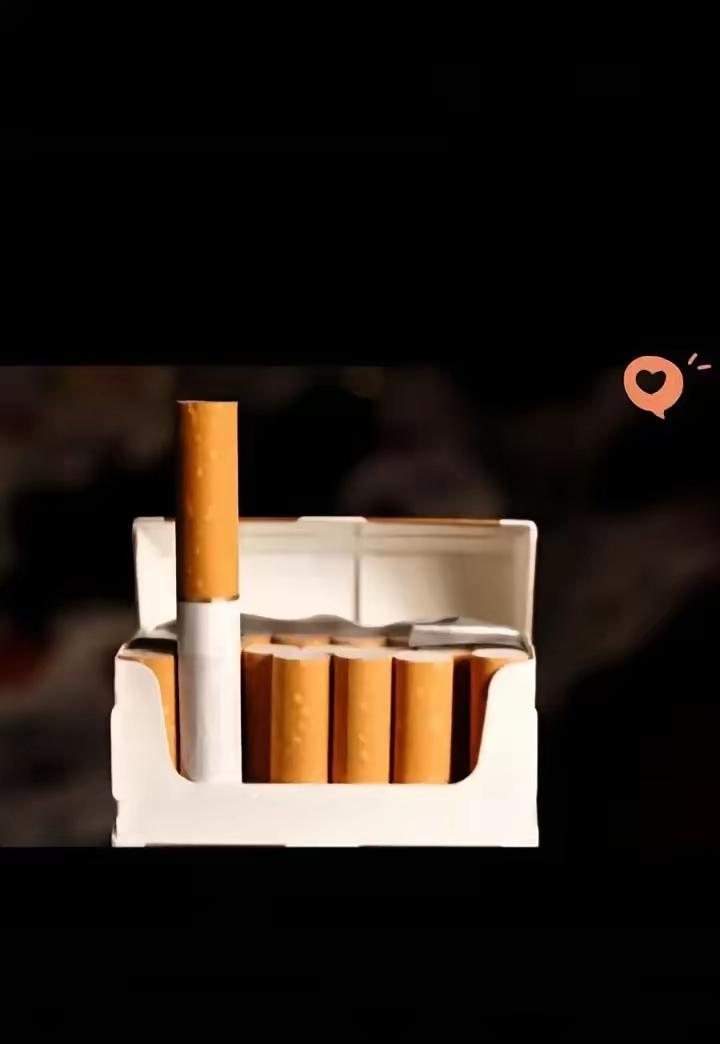 看见这几天“香烟助燃剂”热搜， ，真把我看笑了。有人拿上海红牡丹做实验，老版能挺