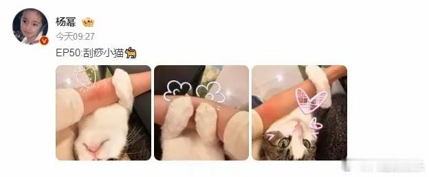 杨幂晒刮痧小猫 在杨幂晒出的照片中，一只毛茸茸的小猫正乖巧地趴在垫子上，背上贴着