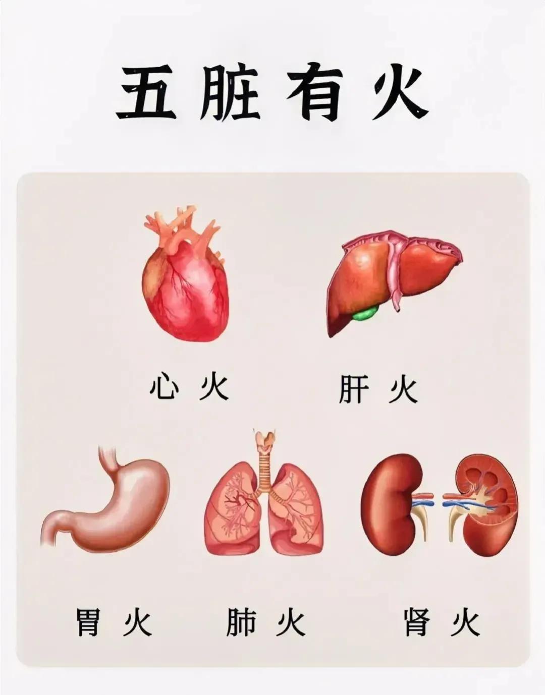 五脏有火，外现于面，每个火都有不同的症状，今天就来聊聊每个火推荐的中成药。

1